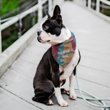 Throw That F*@#&ing Ball Pet Bandana